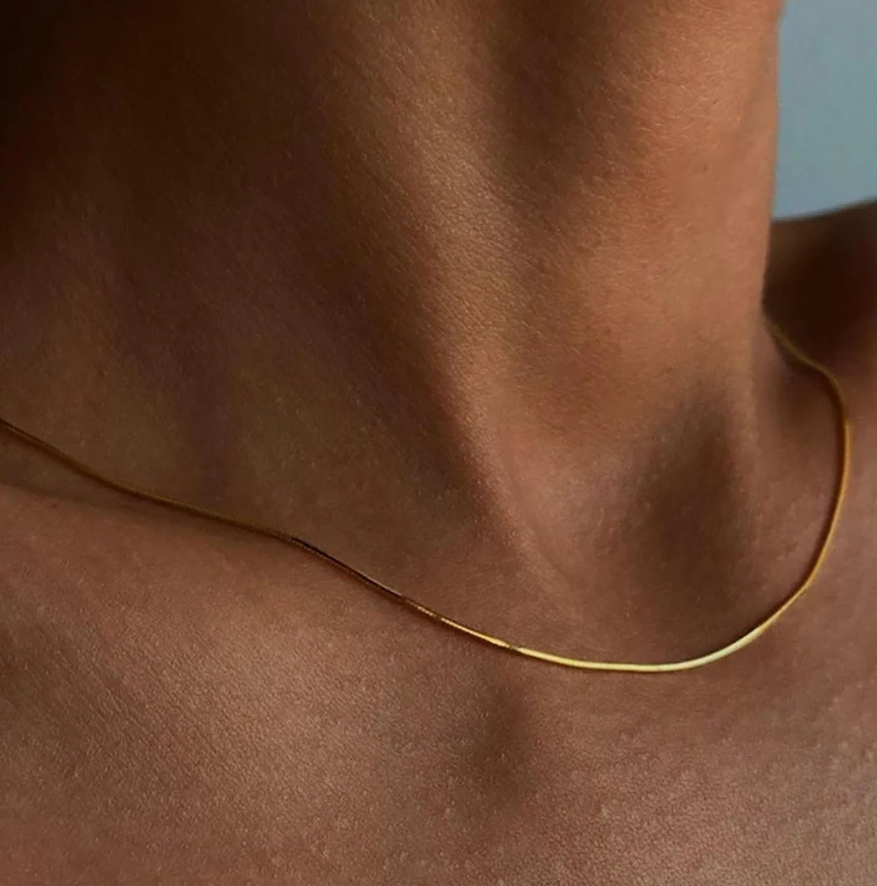 Athena Choker Necklace