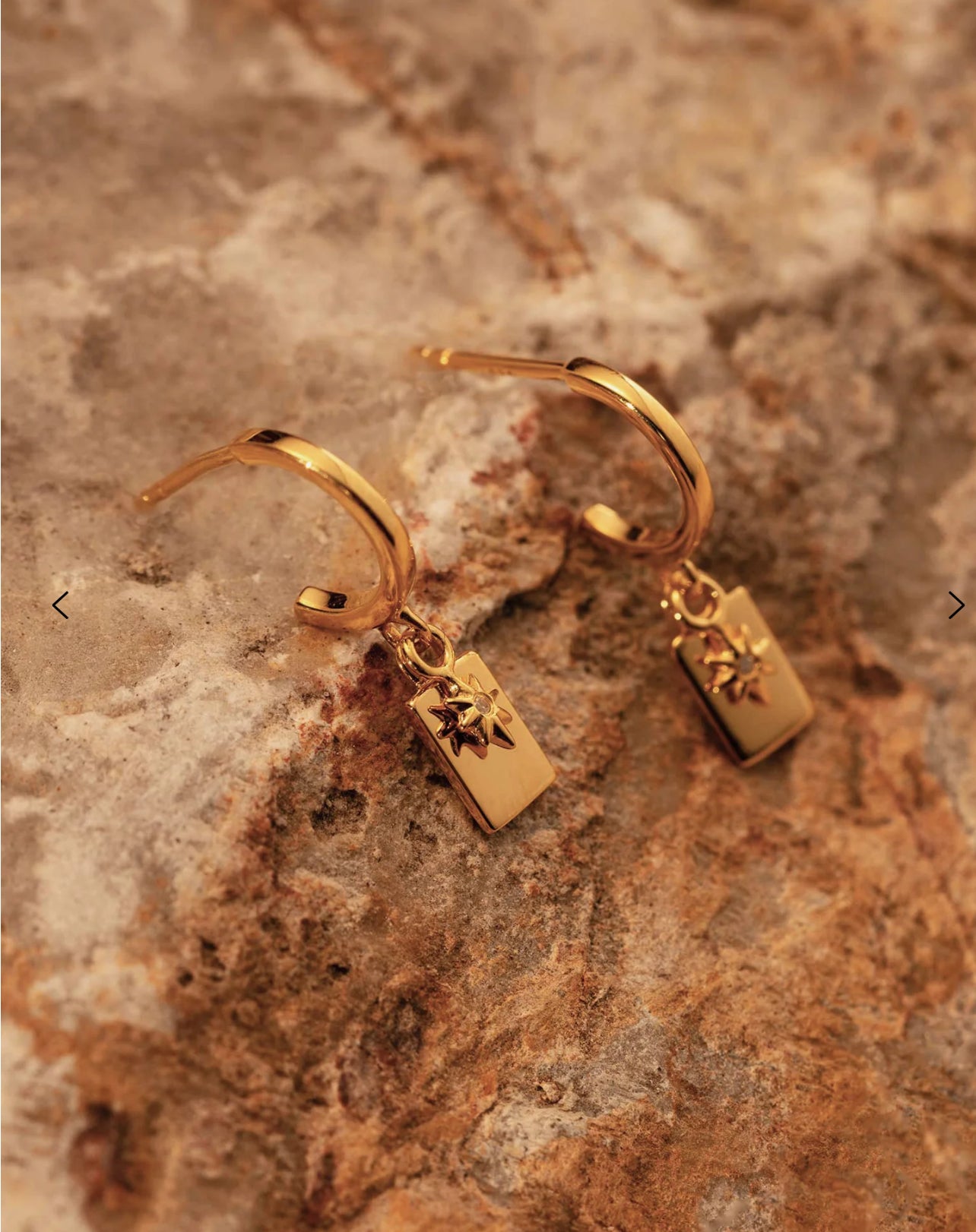 Paloma Hoops