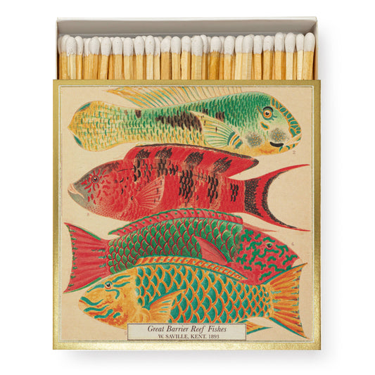 Fish | Square - Safety Matches