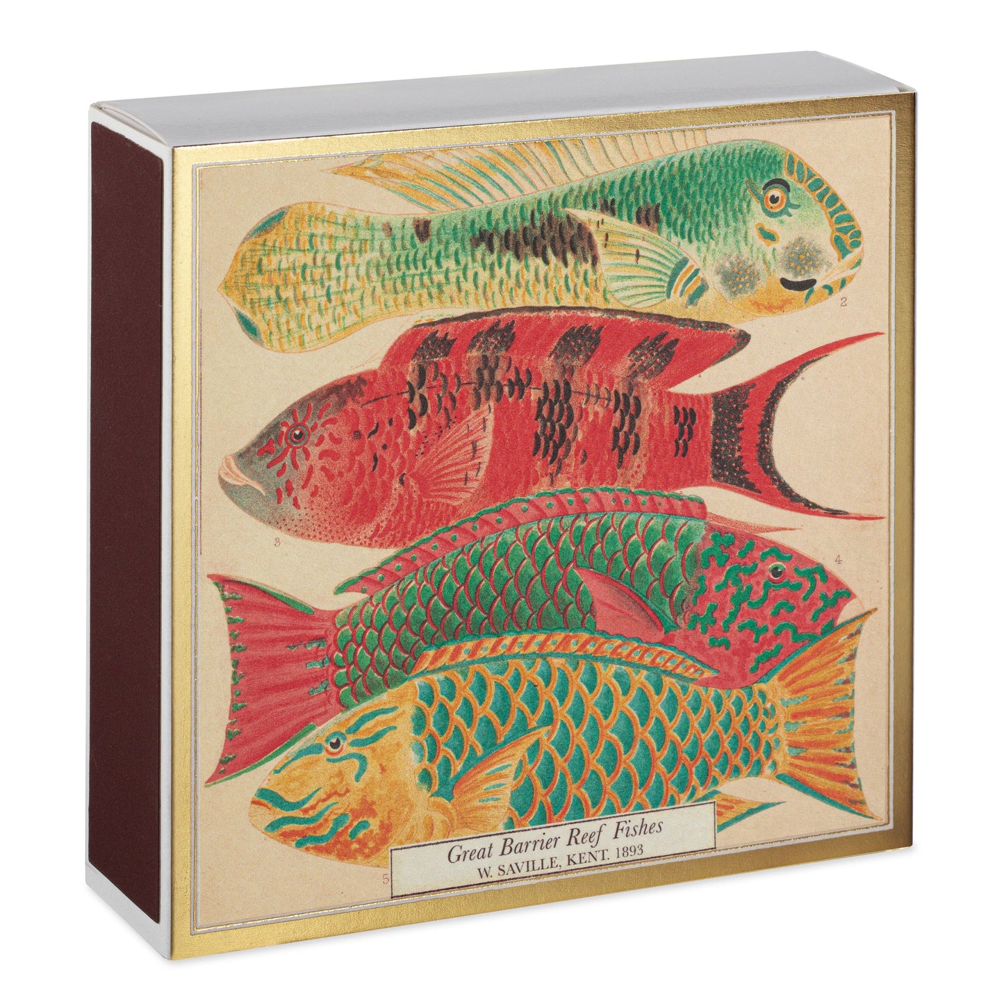 Fish | Square - Safety Matches