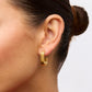 Andy Earrings Gold