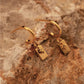 Paloma Hoops