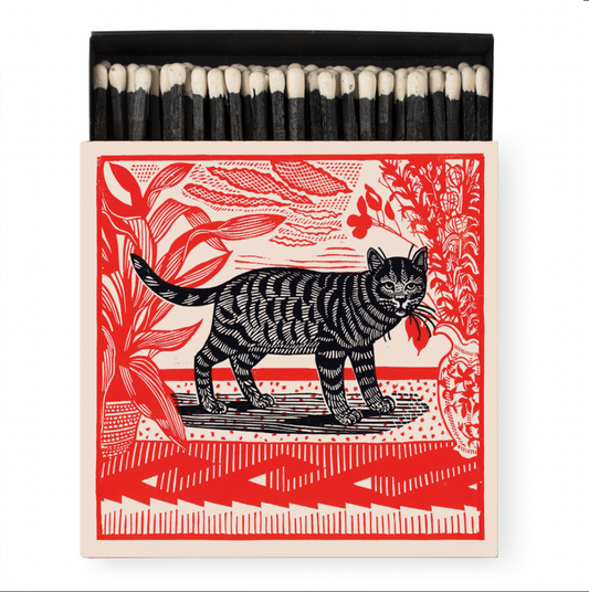 Sasha The Cat | Square - Safety Matches